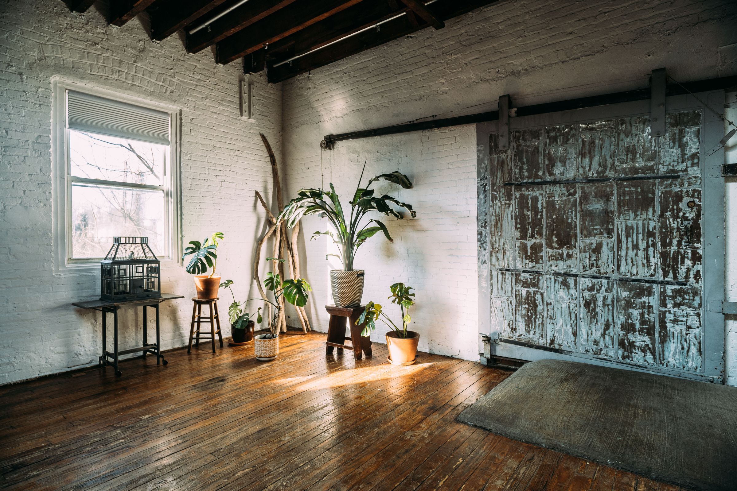 Classic Williamsburg Skylight Loft, photo 5 of 7