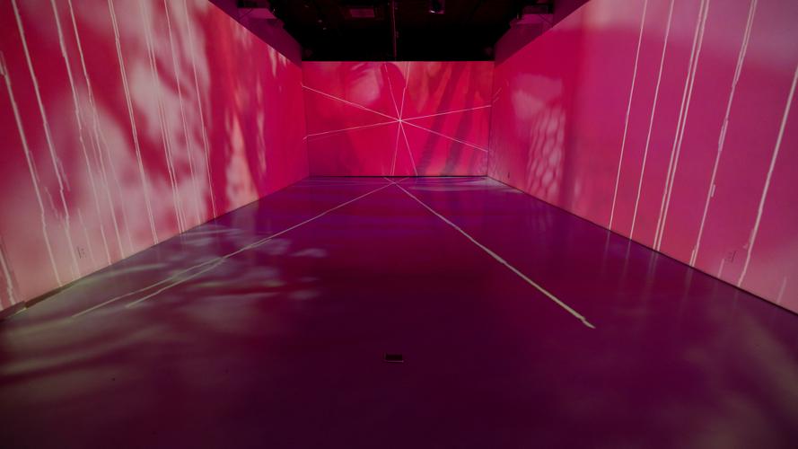 TriBeCa SoHo Immersive Event Studio — event space in TriBeCa