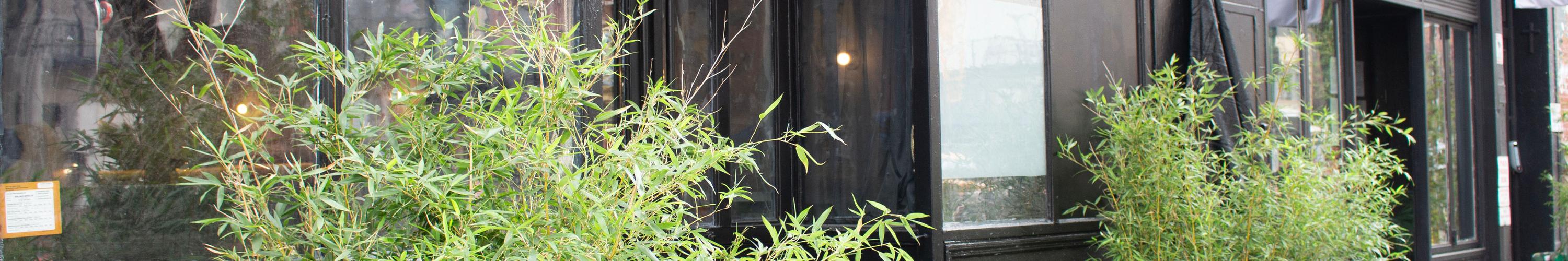 Downtown Nolita Event Space — event space in Nolita