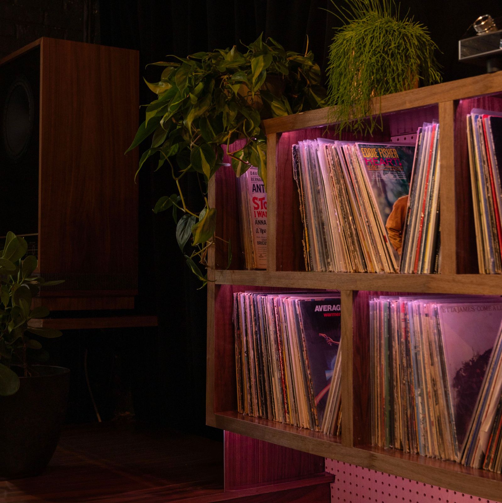 Subterranean Listening Bar With State-Of-The Art Sound System and Mediterranean-Mexican Cuisine in East Williamsburg — event space in East Williamsburg