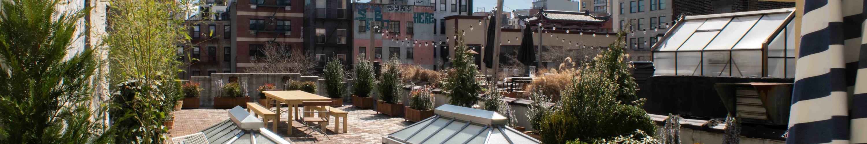 Apollo's — event space in The Bowery