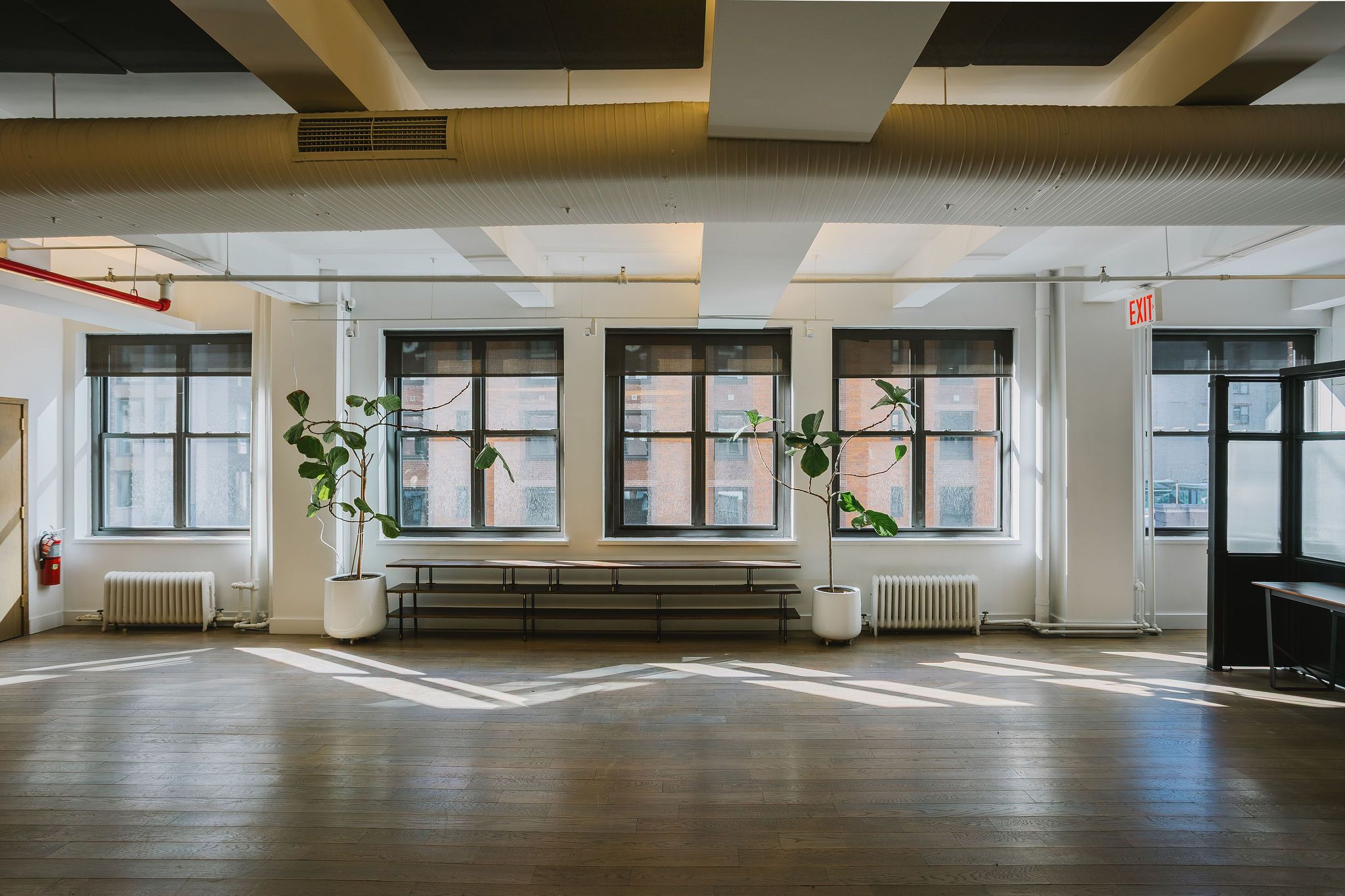 The Auditorium, photo 3 of 10